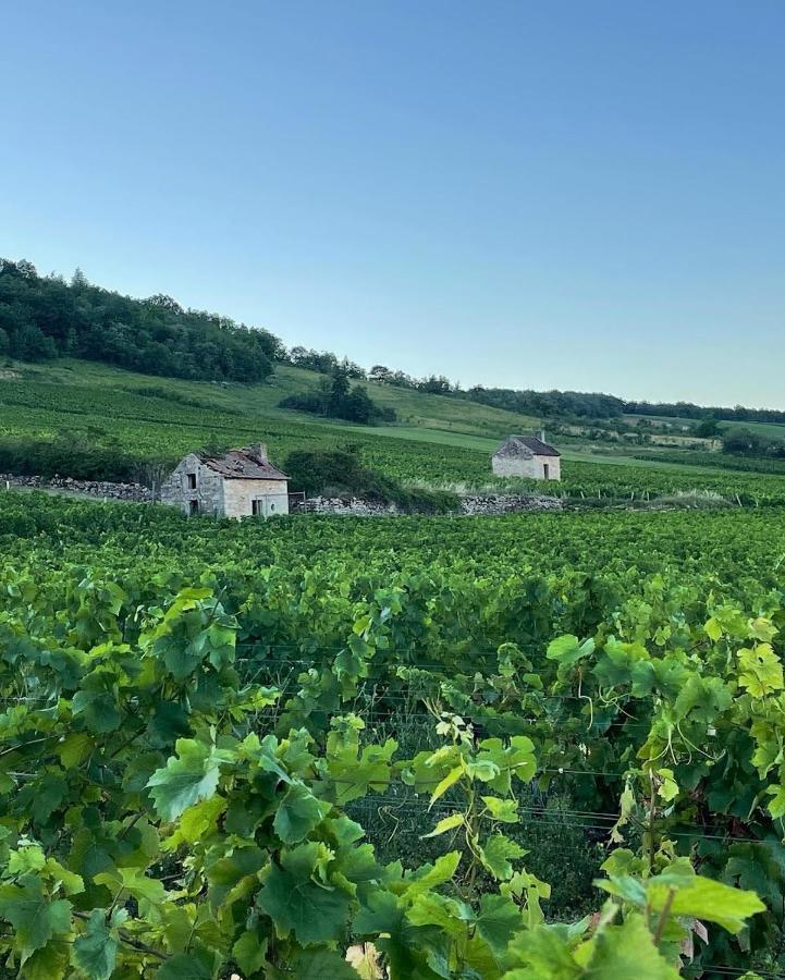 Le Clos De Miribel 기브리 외부 사진