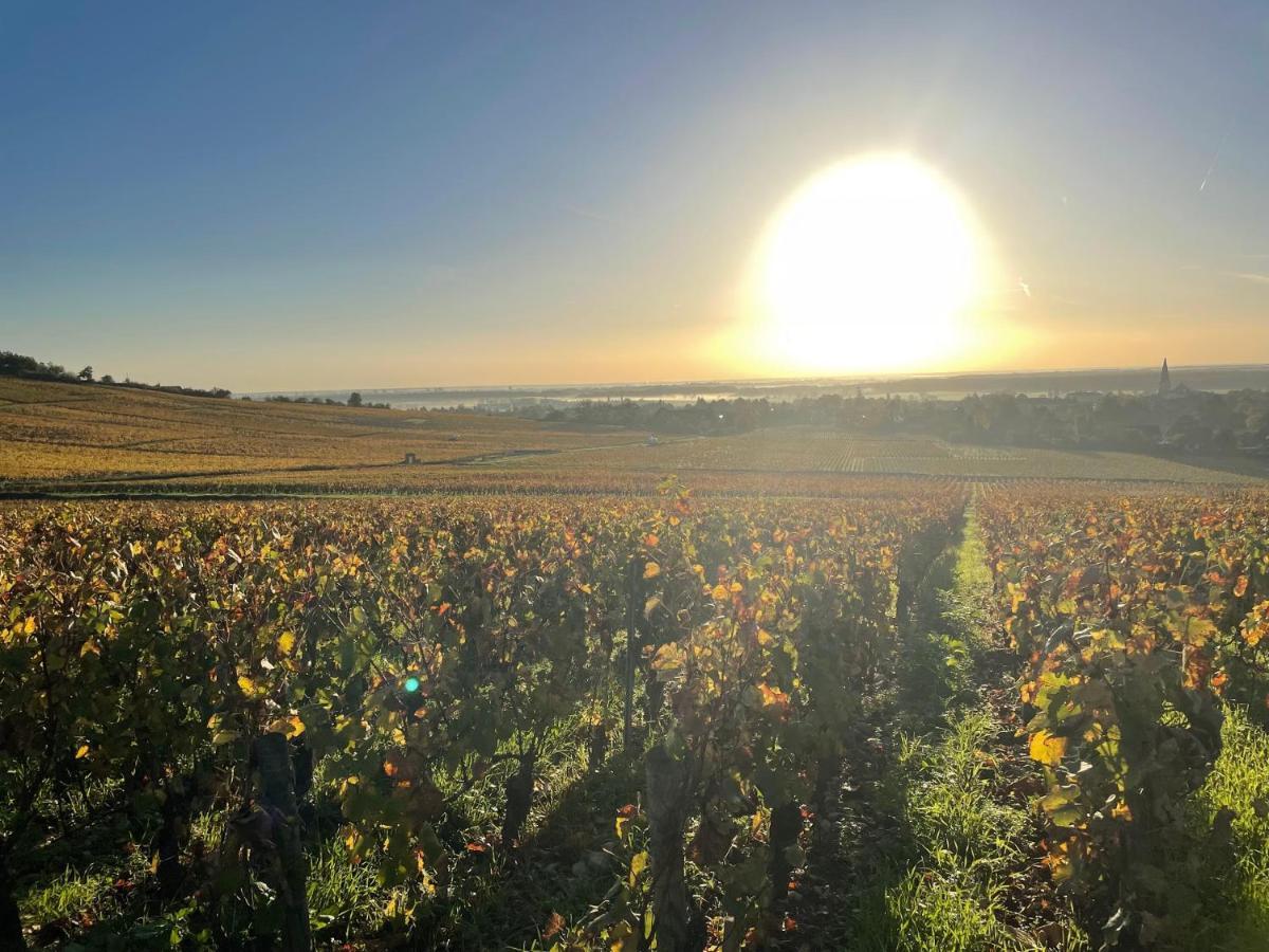 Le Clos De Miribel 기브리 외부 사진