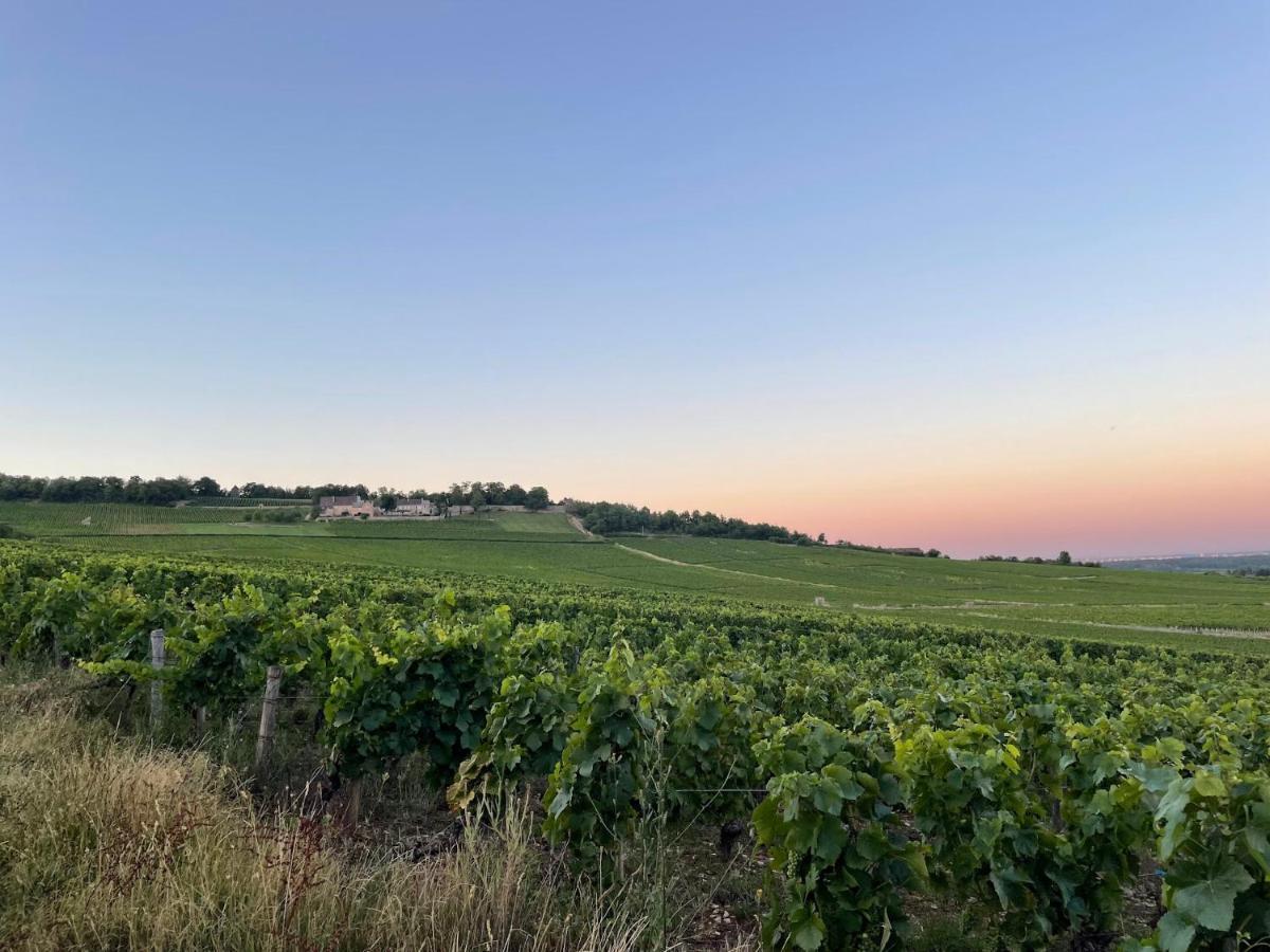 Le Clos De Miribel 기브리 외부 사진