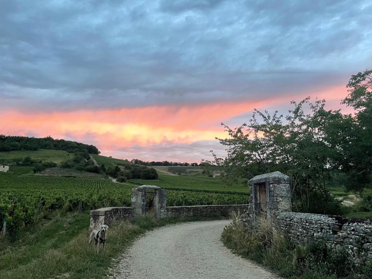 Le Clos De Miribel 기브리 외부 사진